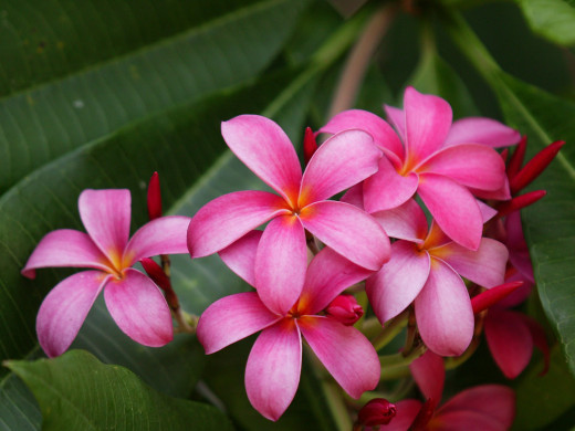 432812 (a): :1600x1200